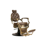Buzz Professional Barber Chair