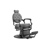 Buzz Professional Barber Chair